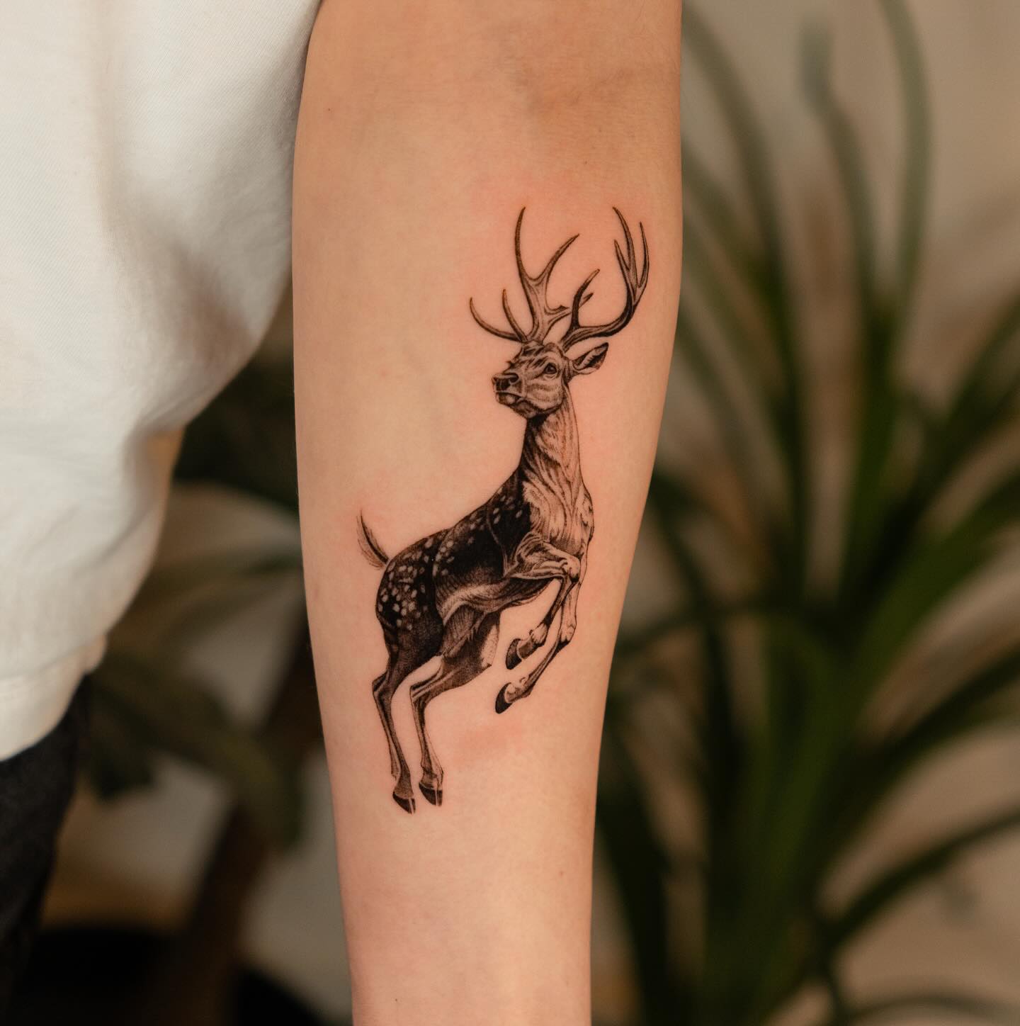 Fine line realism stag tattoo by Zake