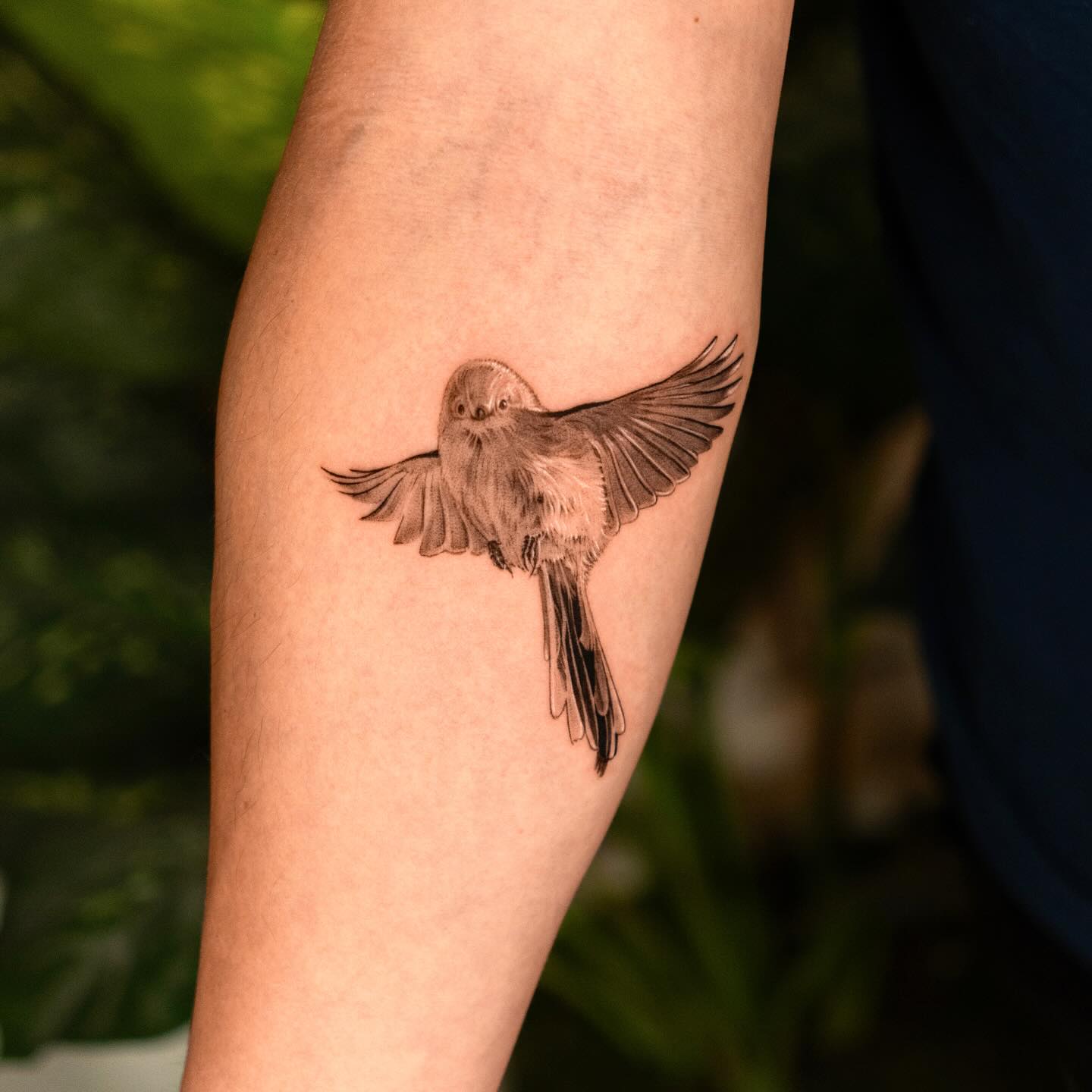 Fine line realism bird tattoo by Zake